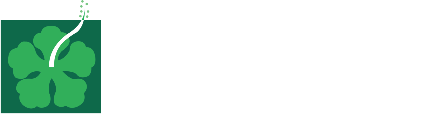 Prime Minister's Hibiscus Award